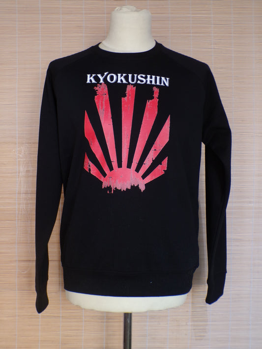 Kyokushin Kai